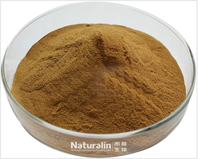 杜仲提取物 杜仲提取物